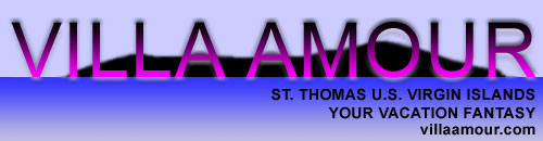 Villa Amour St. Thomas - Your Vacation Fantasy